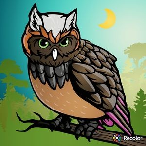 Meet your Posher, Cedrick